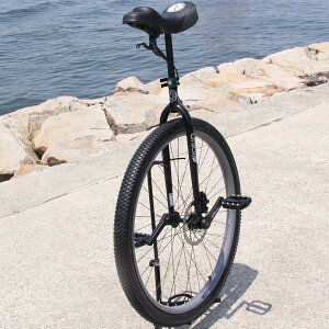 Nimbus - Oracle DISK [32C`]