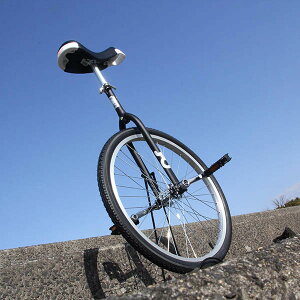 {iIȃX|[NzC[y QU-AX OnlyOne 24 z