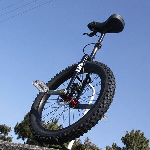 Q-Axleɂyʉy QU-AX - Q-AXLE Disk 24C` z