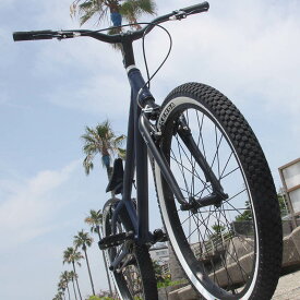 楽天市場 トライアル 自転車の通販