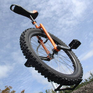 24C`̃}EejTCNy Nimbus M-Uni 24in z