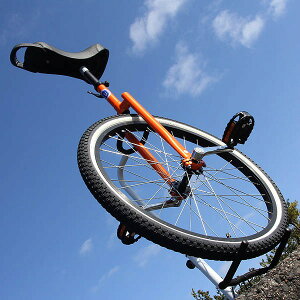 {iIȋZt[X^CZɂΉ24C` ֎ԁy UDC CLUB Freestyle 24 z