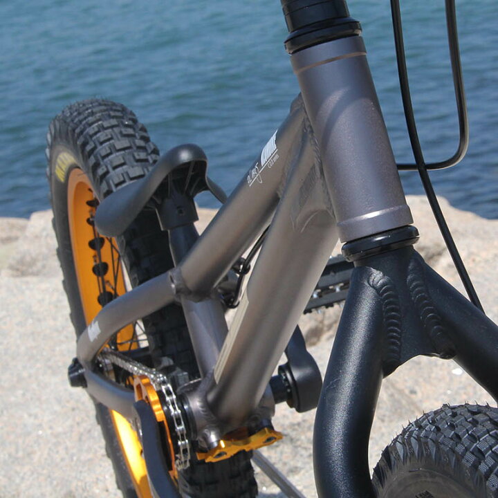 楽天市場】トライアル自転車FullMarks 20インチ【 COLOMA Disk 