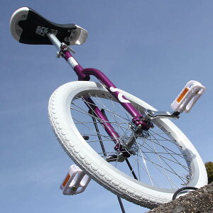 X|[NzC[̈֎ԁy QU-AX OnlyOne 20C` z