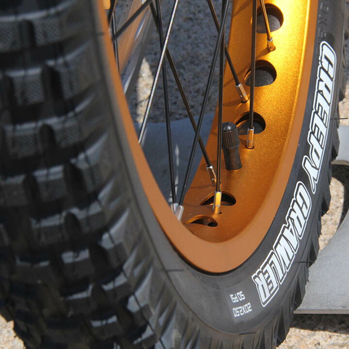 楽天市場】トライアル自転車FullMarks 20インチ【 COLOMA Disk 