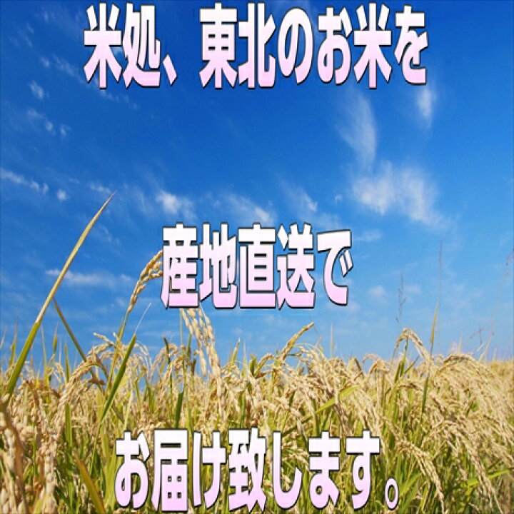 楽天市場】【LINE友だち登録で50円OFFクーポン！】生活応援米 エース 