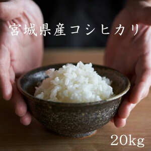 VāyLINEFo^200~OFFN[|Iz 20kg  5kg×4 10kg×2 RVqJ {錧YRVqJ20kg ߘa7NY Ђ  20kg      20kg 
