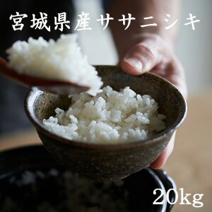 yLINEFo^200~OFFN[|Iz 20kg  5kg×4 10kg×2 TTjVL {錧YTTjVL20kg ߘa6NY ɂ  20kg      20kg  