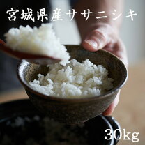 楽天市場】ササニシキ 玄米30kgの通販