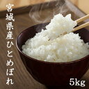 【LINE友だち登録で200円OFFクーポン！】米 5kg 送料無料 白米5kg×1袋 玄米5kg×1袋 ひとめぼれ 宮城県産ひとめぼれ5kg 令和6年産 ヒトメボレ 米 5kg 送料無料 白米 精米 玄米 お米 5kg 送料無料 米5kg 送料無料 白米5kg 精米5kg 玄米5kg あじつかみ 熨斗 のし