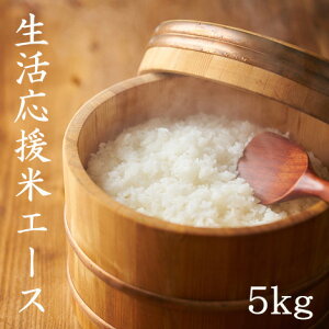 yLINEFo^200~OFFN[|Iz6NY  5kg  y5kg×1܁z   uh kY vYn{錧Y G[X   5kg     5kg  