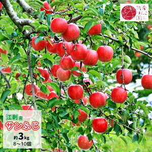 ]hY񂲁@G񂲉@Tӂ@3kg@8`10ʁ@p@茧Bs]h@]hs񂲊ف@y11{珇z