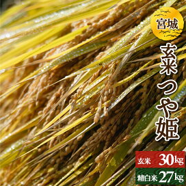 楽天市場】宮城県産 つや姫 玄米30kg or 白米27kg 令和7年産 検査一等 
