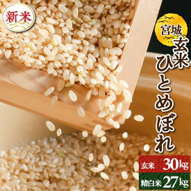 新米　宮城県産　ひとめぼれ　玄米30kg or 白米27kg　令和7年産　検査一等米　送料無料