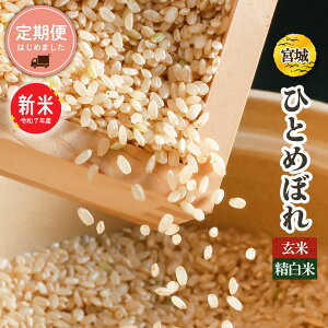 Vā@{錧Y@ЂƂ߂ڂ@30kg or 27kg@ߘa7NY@ꓙā@{̂ā@@ywΉz