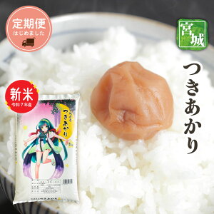 Vā@{錧Y@@5kgE10kgE20kgE30kgI@ߘa7NY@{̂ā@@@ywΉz