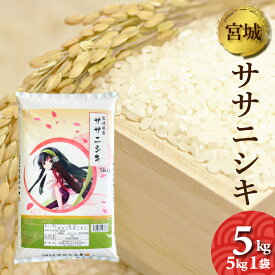 令和5年産　宮城県産　ササニシキ　5kg　送料無料　お米　精白米　（離島・沖縄発送不可）