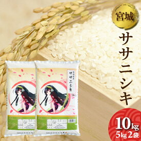 令和5年産　宮城県産　ササニシキ　10kg （5kg×2袋）　送料無料　お米　精白米　（離島・沖縄発送不可）