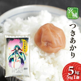 宮城県　つきあかり　5kg　令和7年産　送料無料　お米　白米