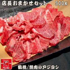 【鶴橋・焼肉のアジヨシ】牛肉 国産 店長おまかせセット 500g
