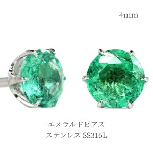 sAX ꗱ Gh 4mm SS316L XeX  O[ zCgS[hF  Vo[ AM[ Ή X^bh ANZT[ WG[  lC a 5 fB[X w