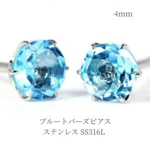 sAX ꗱ u[gp[Y 4mm SS316L XeX  F zCgS[hF  Vo[ AM[ X^bh ANZT[   lC a 11 fB[X  Y w