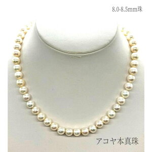 y{zAR {^ p[ lbNX 8.0`8.5mm SV925 y_g Y a ^  zCg a 6 ANZT[ WG[ fB[X p wl    w 
