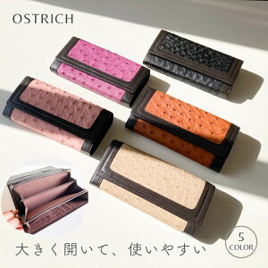 N[|OFF/I[Xgb`z Ԃz fB[X Y  z Mtg v[g {v g₷ _`Ev y U[ ^ uE  CbN  L 