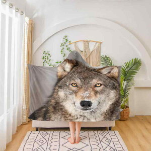 uPbg tl ѕz t[ht T Aj} LN^[ }g |` V[ [EFA tH ԕ y h 킢