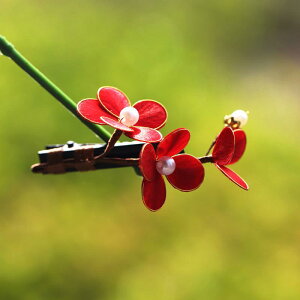  fB[X ~ xxbg ԃ`[t  `Z@ Vؕ Ԍn bh wANbv  l Ǝ uC_ p[eB[ a