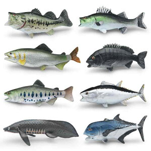 tBMA A I Cm  }O }_C EjAW GT XYL TP T[ sN u IuWF fBXvC Ϗܗp  mߋ PVC