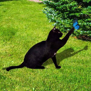 K[fsbN A  L  fUC  K[f O IuWF AN ʃvg }ݎ nY K[fjO G