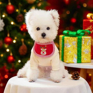 ���p ���^�� �X�^�C �O�p�o���_�i �l�b�N�A�N�Z�T���[ ������� ���킢�� �N���X�}�X �T���^�N���[�X �g�i�J�C �Ⴞ��� �|���G�X�e���� ���i�g�� �C�x���g����