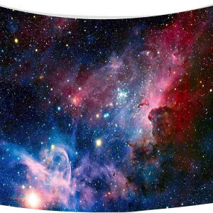 �^�y�X�g���[ ���� �X�� 3D ���� �Ǐ��� �E�H�[���f�R ���i�� �k���X�^�C�� �������� �ƒ�p ���r���O �Q�� ���� �|���G�X�e��