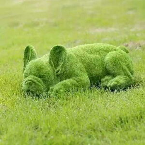 �u�� ���[���s�A�� ���A�� �t���b�L�[���H �O���[�� �q�� ������ �I�[�i�����g ���O �K�[�f�� �� �x�����_ �G���g�����X ���� �f�B�X�v���C �V���[�E�B���h�E �B�e�p ���킢�� ������� ����