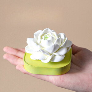 �V���R�����[���h �� �W���X�~�� �� �ԍ� �A���}�X�g�[�� �A���}�L�����h�� �΍p �f�R���[�V���� �u�� DIY ���� �n���h���C�h ���� �����^