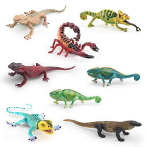 �t�B�M���A �L�b�Y ���A�� ���� ���� �͌^ �J�����I�� �T�\�� �g�J�Q �t�g�A�S�q�Q�g�J�Q �W���[�N �������� �������� ������ �I�u�W�F �u�� �C���e���A