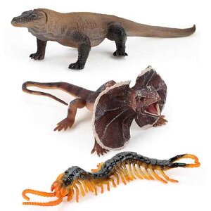 �t�B�M���A ���A�� �쐶���� ঒��� ���� �g�J�Q �I�I�g�J�Q �G���}�L�g�J�Q ���J�f �J�^�c���� �n���E�B�� �h�b�L�� �������� �W���[�N�O�b�Y ���蕨