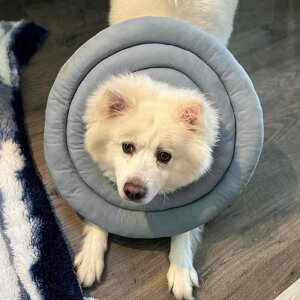 �G���U�x�X�J���[ �L ���p �h�� �p�� �r�ߖh�~ �����ی� �P�K �畆�a ��� ���� ��D ��^�� ����^�� ���C�h �[�^ �\�t�g�^�C�v ���