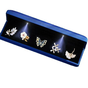 �u���[�` ���f�B�[�X ������ ���C�g���O�W���A���[ �G���K���g �㎿ ���X �o�^�t���C 5�_�Z�b�g ���� �d�C���b�L���H �H�~ ������ �p�[�e�B�[ ���i�g�� �t�F�~�j��