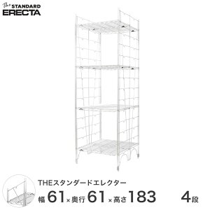 Vo[bN X`[bN 60 s60 185 4i X^_[hGN^[ LV[Y ERECTA VFt Vo[ X`[ X`[I Ɩp Y ~[ ^ X`[ L65L18304