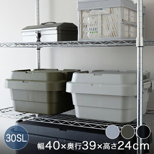 [{bNX [ ߗގ[ gNJ[SSE^@40×40×24cm 1 BOX-AZM0026
