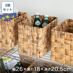 \̔(12{oח\) VRfރEH[^[qVXoXPbg`E@25×20×21cm 3Zbg ŒZo BOX-KUP0005ST3