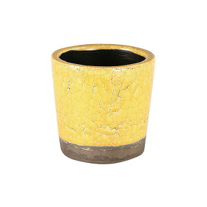 I[ûݔpԁ_g DULTON J[ OCYh |bg 4 (\[T[ʔ) Aؔ K[fjO DIY  RpNg v^[ Jt Aؔ  픫  T{e