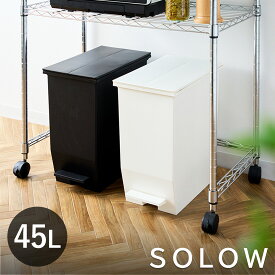 ゴミ箱 45L SOLOW ごみ箱 45リットル ソロウ ペダル式 ふた付き 両開き 分別 棚下 カウンター下 スリム キッチン 角型 高さ揃う ホワイト ブラック シンプル おしゃれ dst-kup0001