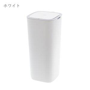 _P10{!Ԍ^ S~ 30L fB EKO X}[g vX`bNZT[r J _Xg{bNX dst-kup0024