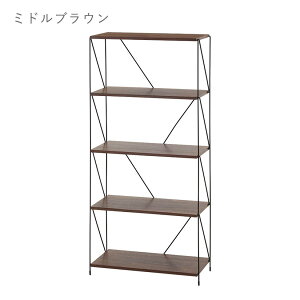 �y��60�z EZBO ���C���[���b�N 5�i�^�C�v �H��s�v �ȒP�g�ݗ��� �ؐ� �k�� ���[ ezb-fb0008