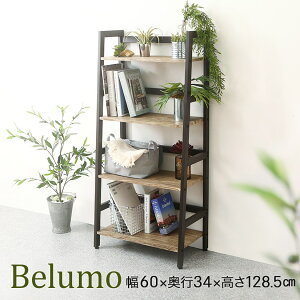 CeAVFtx[ 4i 60 s34 128.5cm ؐVFt ؐfXN EbhVFt ؐI ISB6012-4