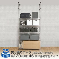 楽天市場】ルミナススリム 120の通販