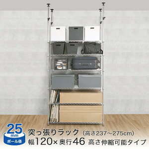 _P10{^ ˂胉bN ~iX X`[bN bN [ I 120 s46 237?275cm 6i |[a25mm